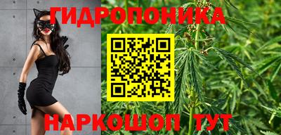 гашик Лесосибирск