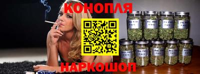 гашик Лесосибирск