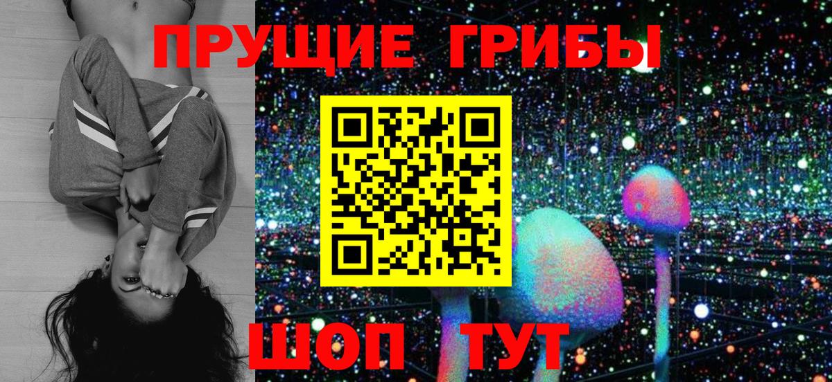 Псилоцибиновые грибы прущие грибы Елизово