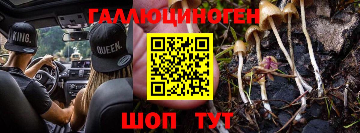 Елизово  Псилоцибиновые грибы MAGIC MUSHROOMS  Вход с VPN 